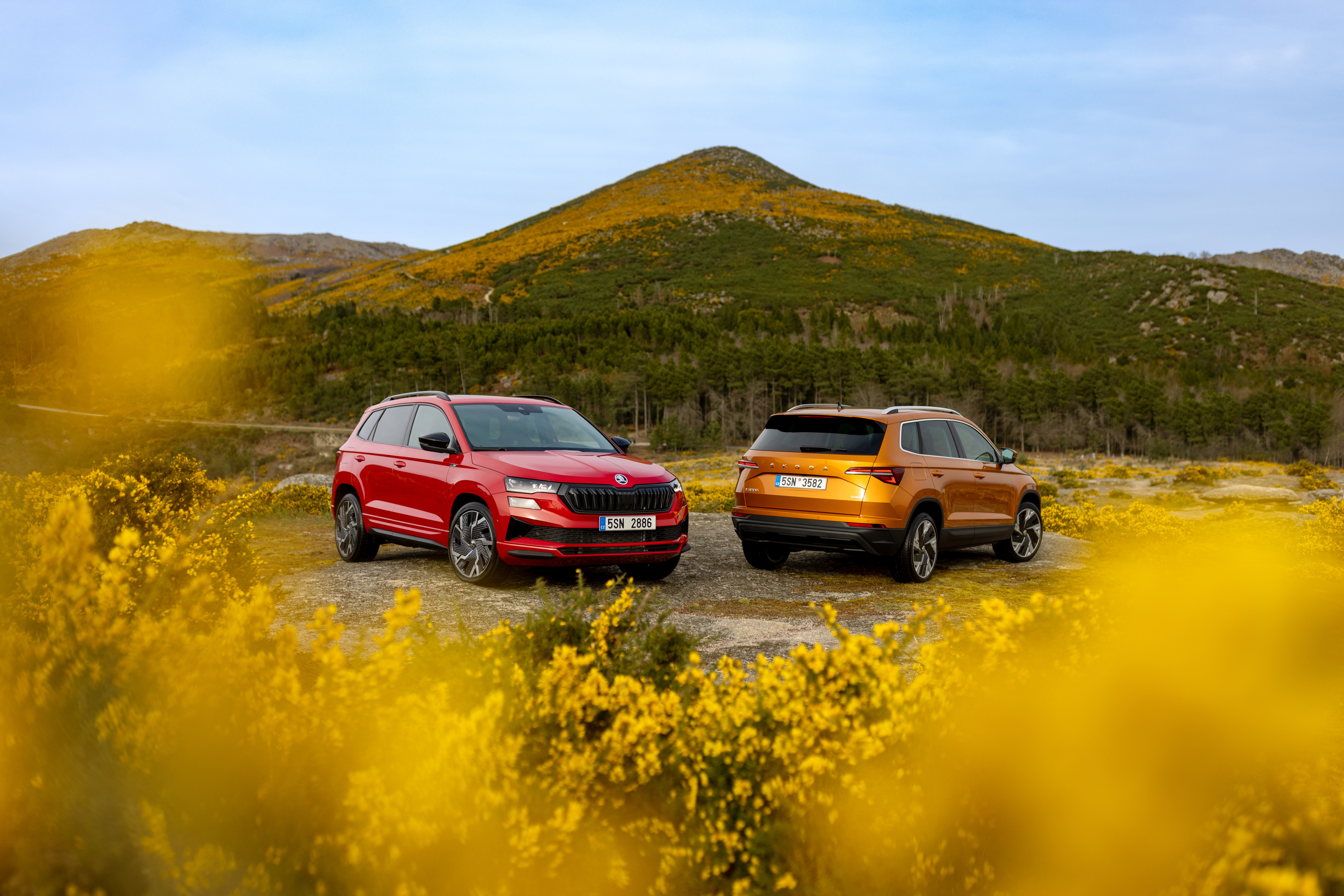 SKODA KAROQ Mei 2022