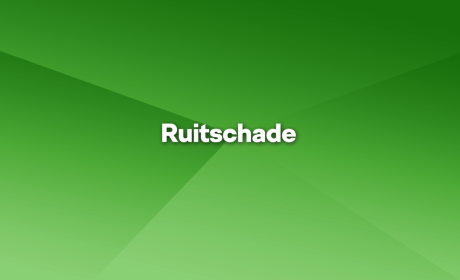 ruitschade