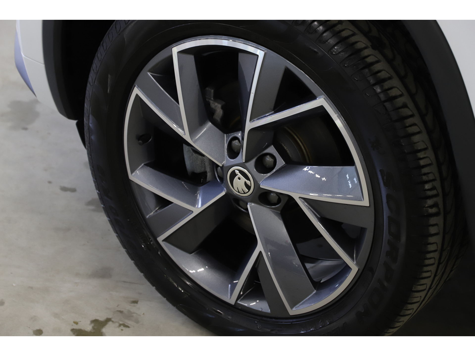 Škoda - Kodiaq 1.5 TSI 150pk DSG Sportline - 2020